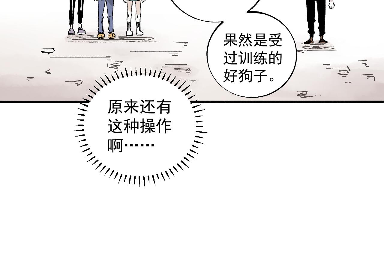 第 45 页