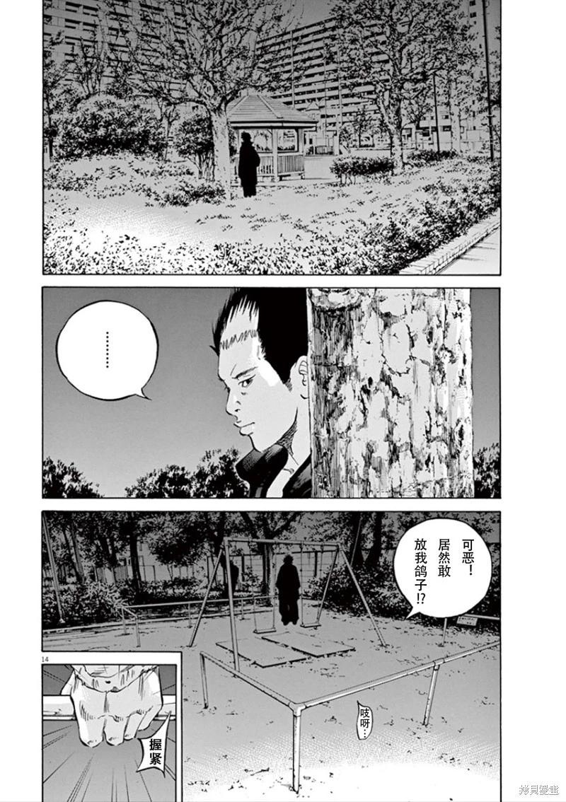 第 14 页
