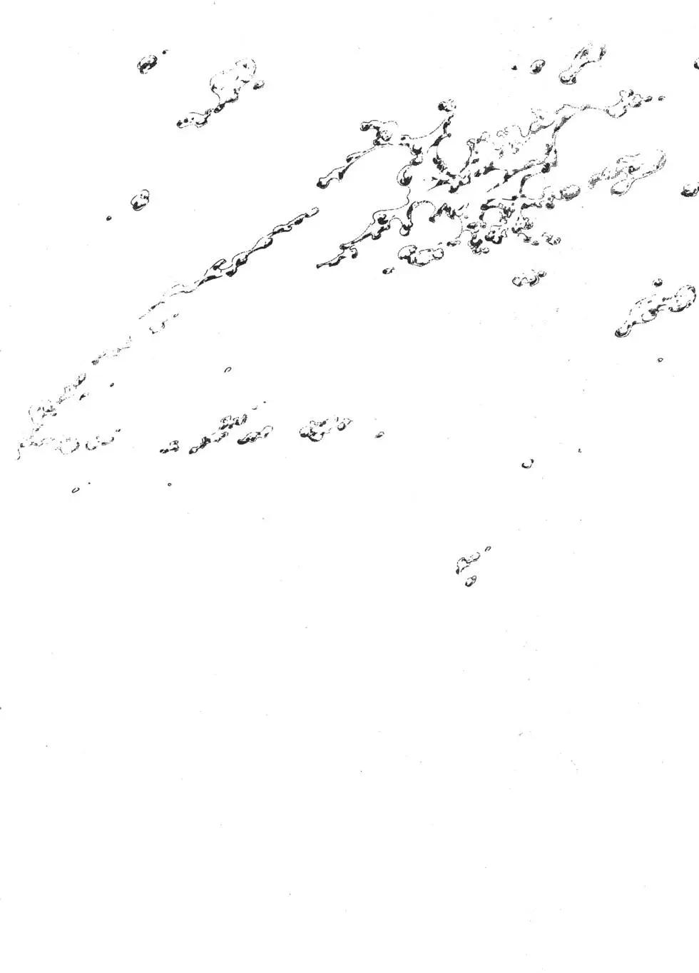 第 205 页