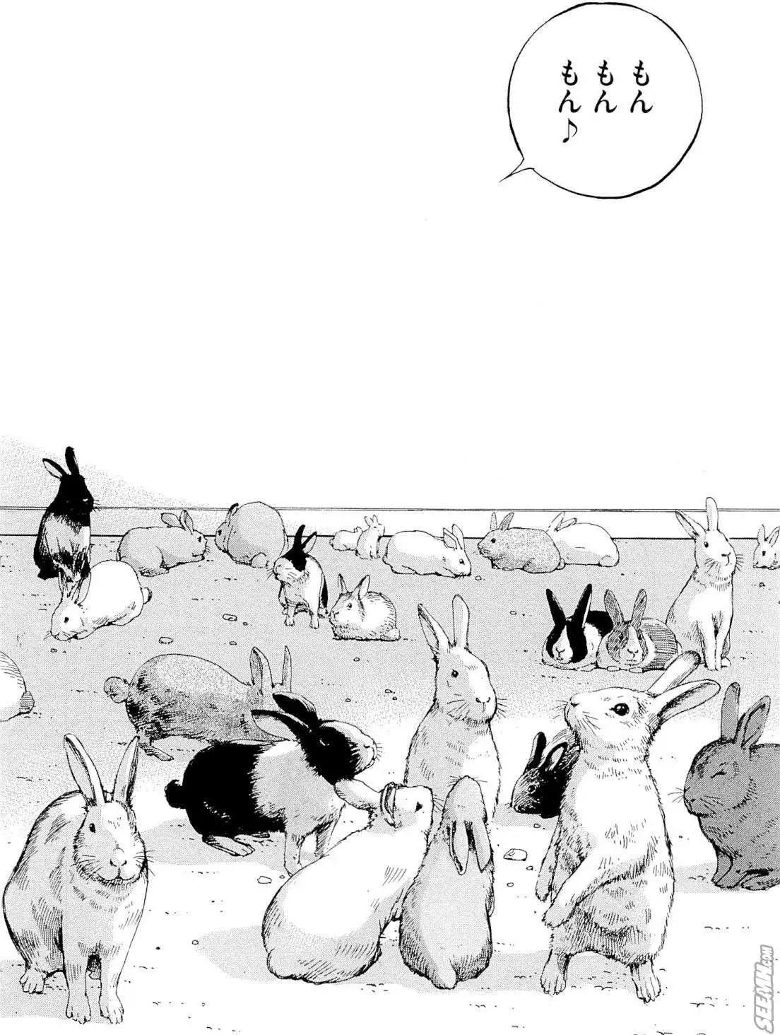 第 207 页