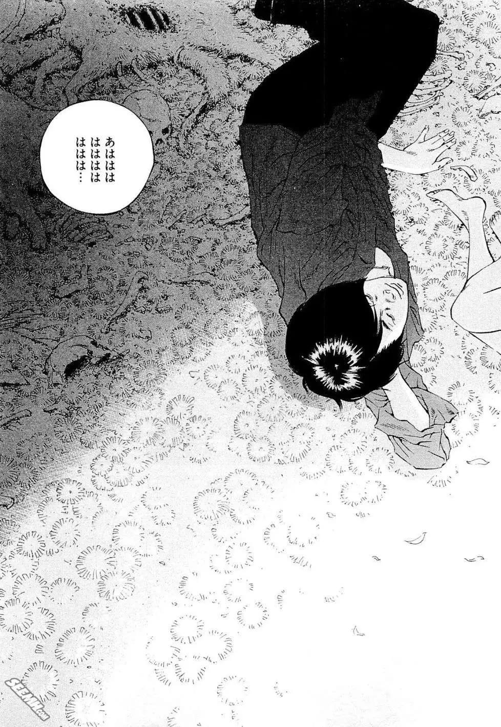 第 204 页