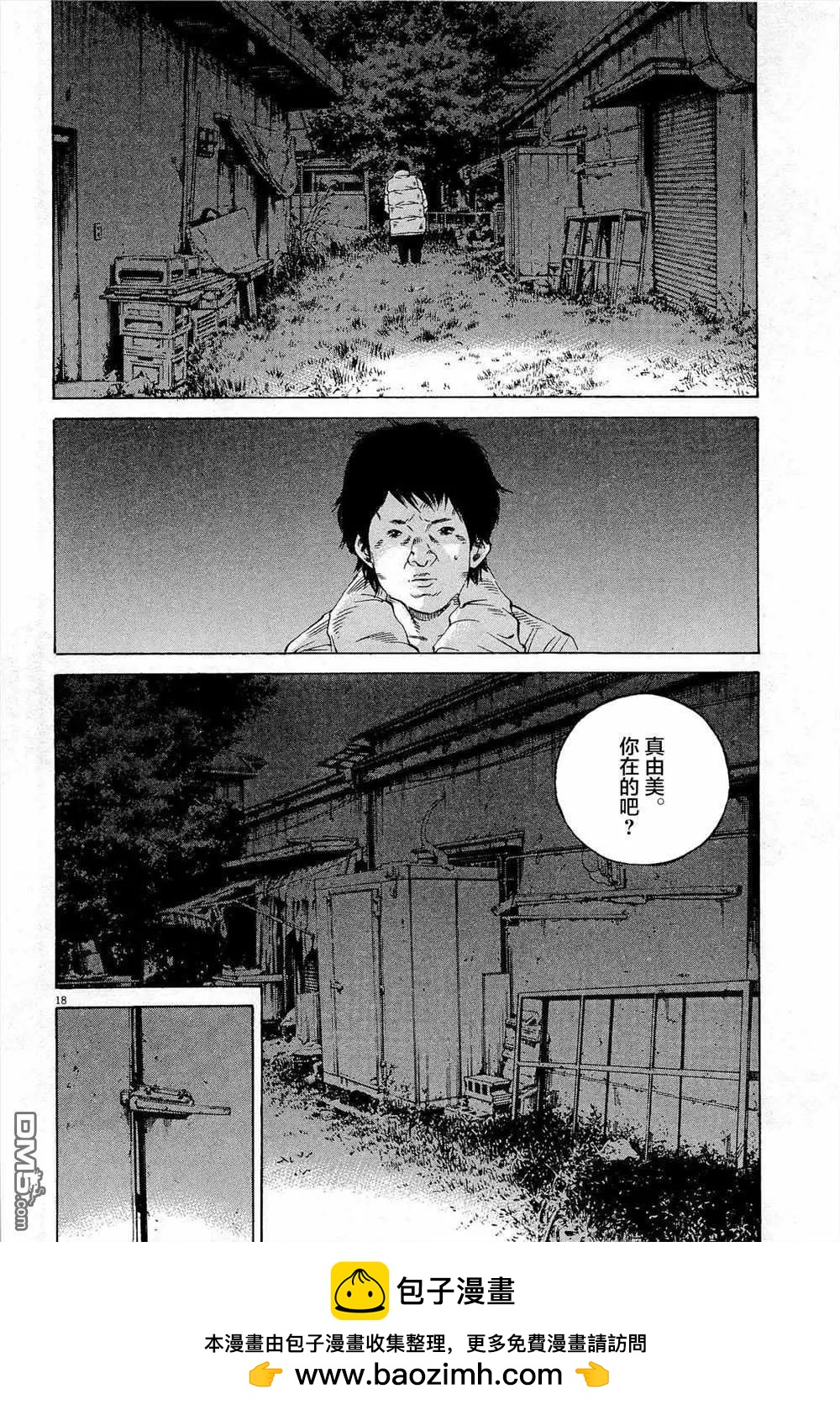 第 18 页