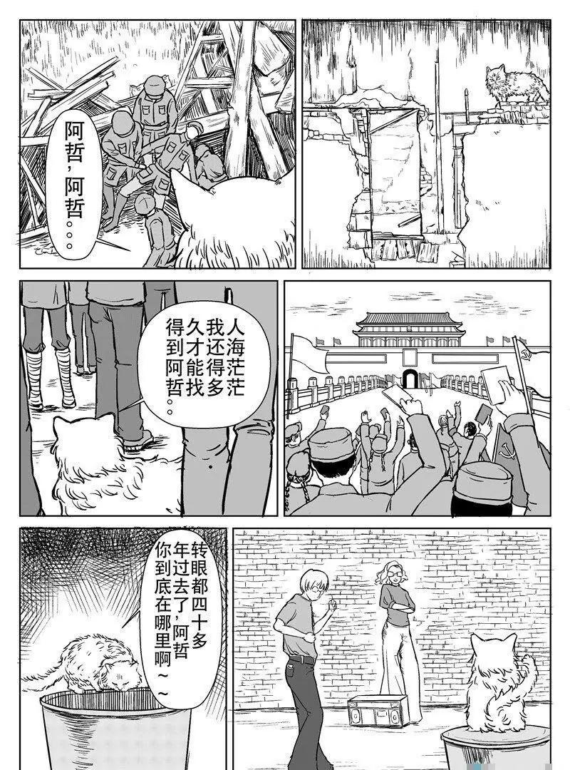 第 21 页