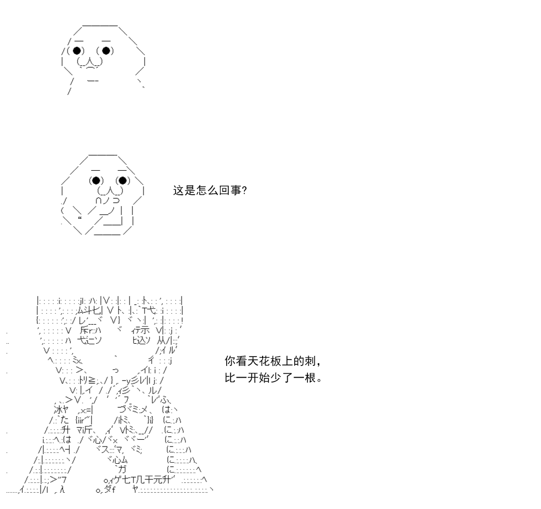 第 204 页