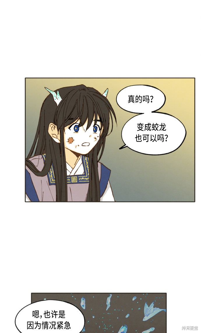 第 33 页