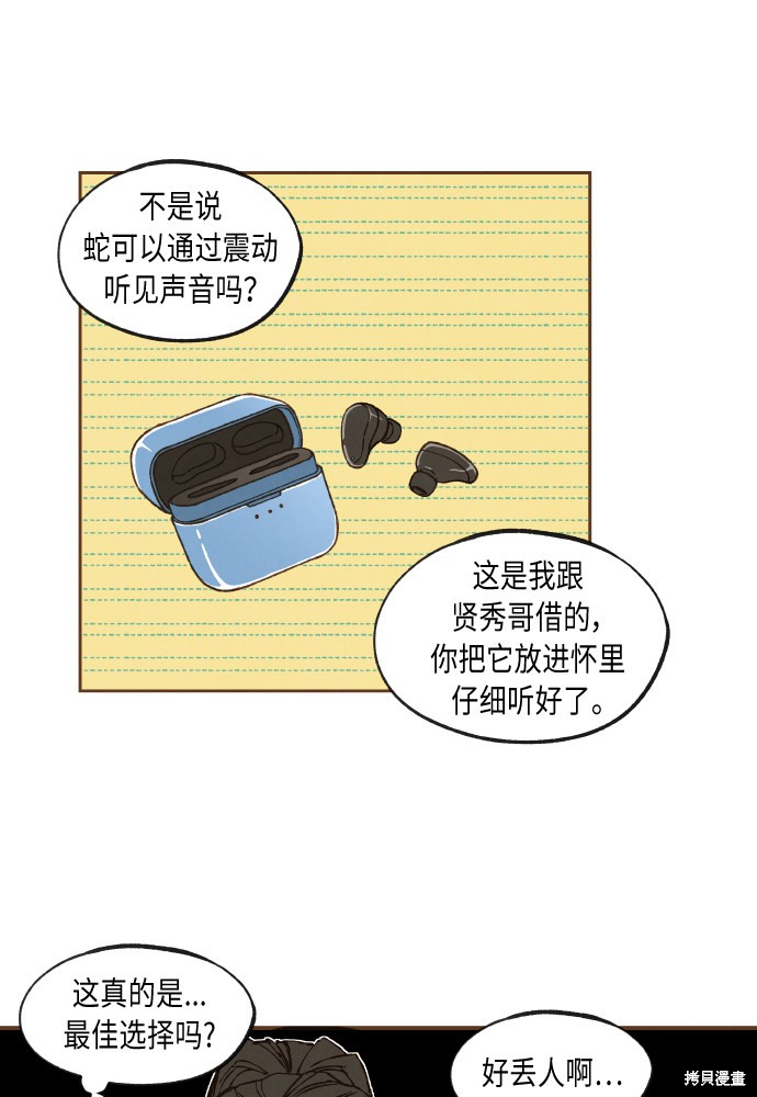 第 41 页