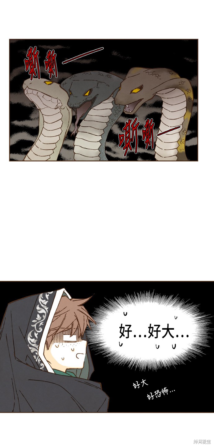 第 37 页