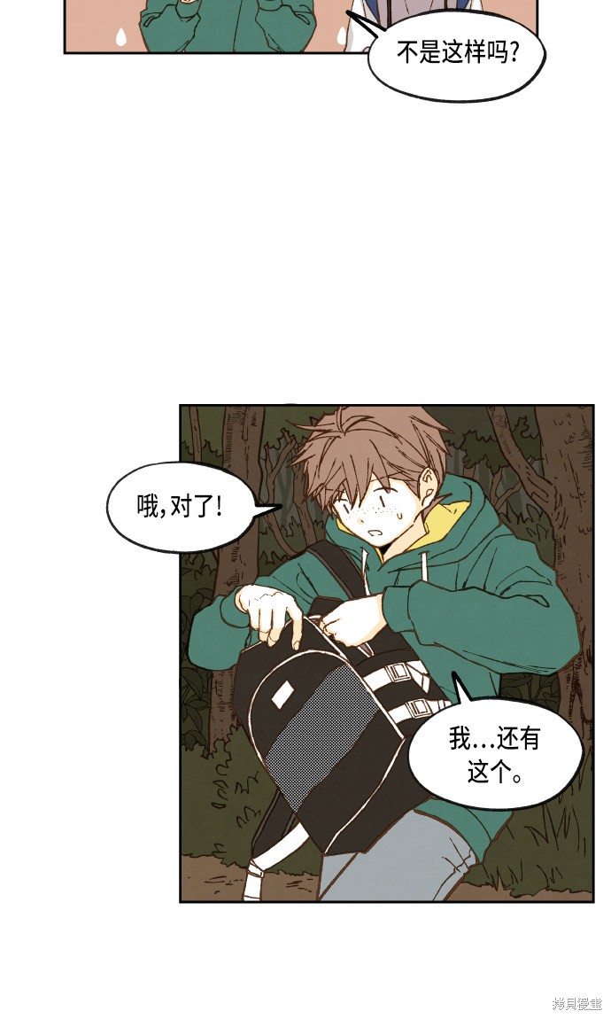 第 41 页
