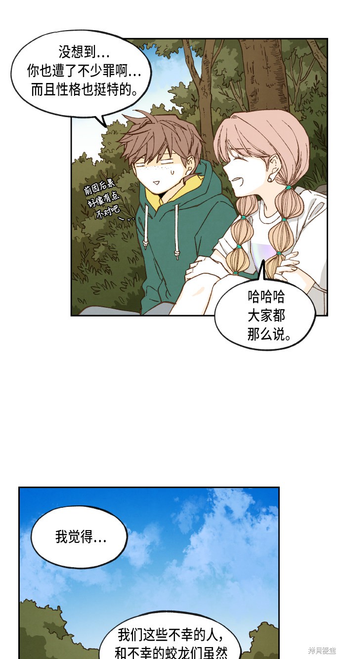 第 41 页