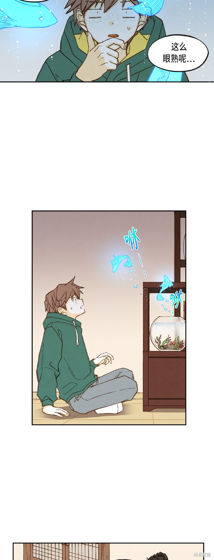 第 31 页