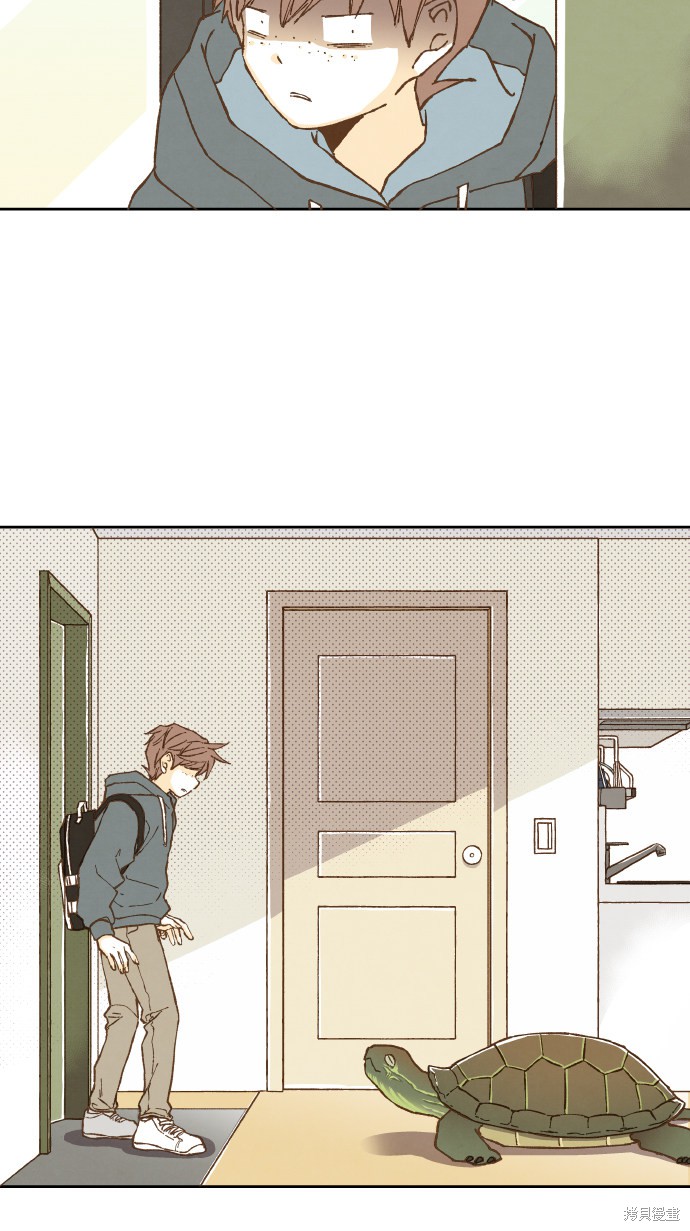 第 37 页