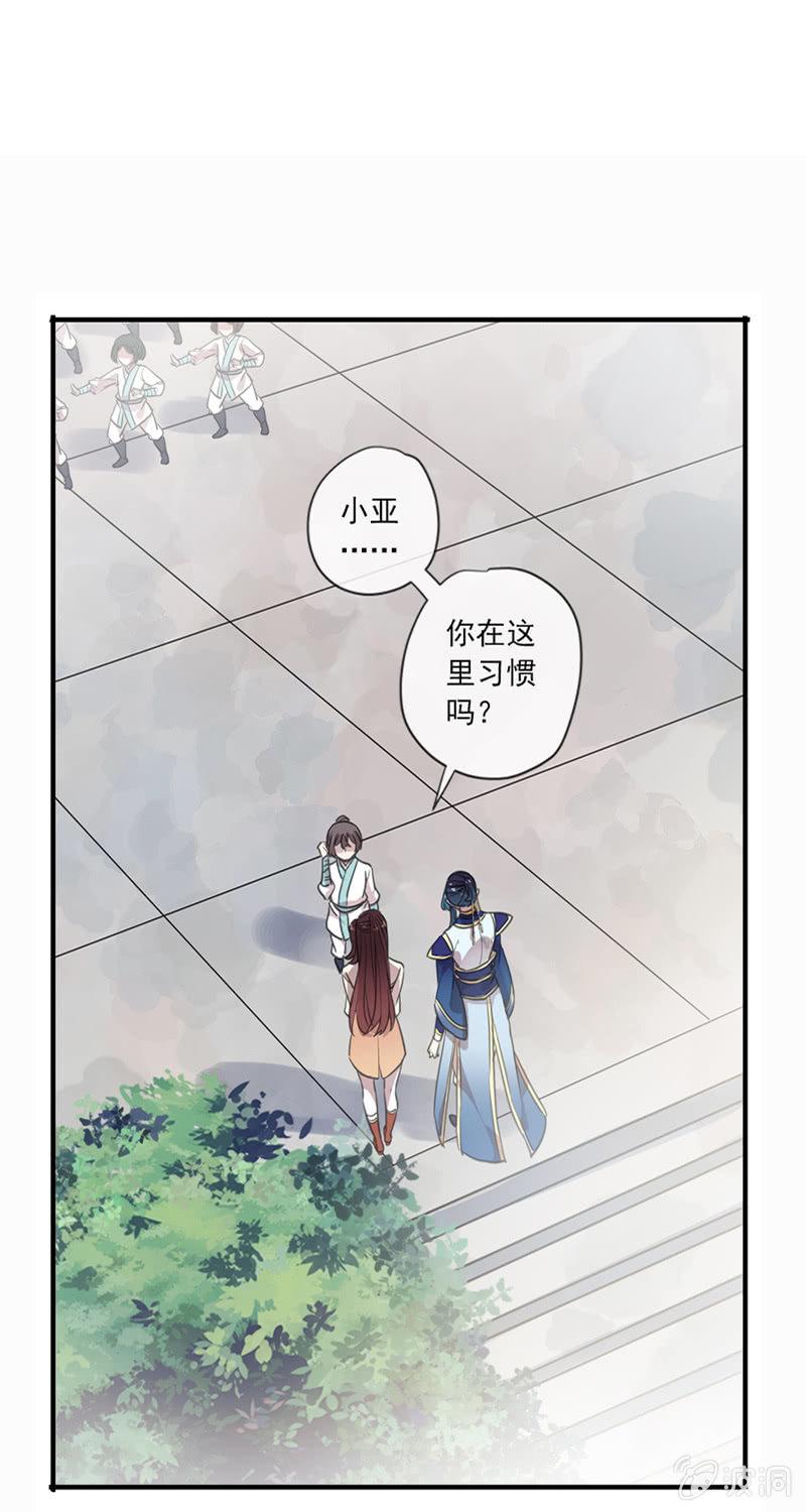 第 37 页