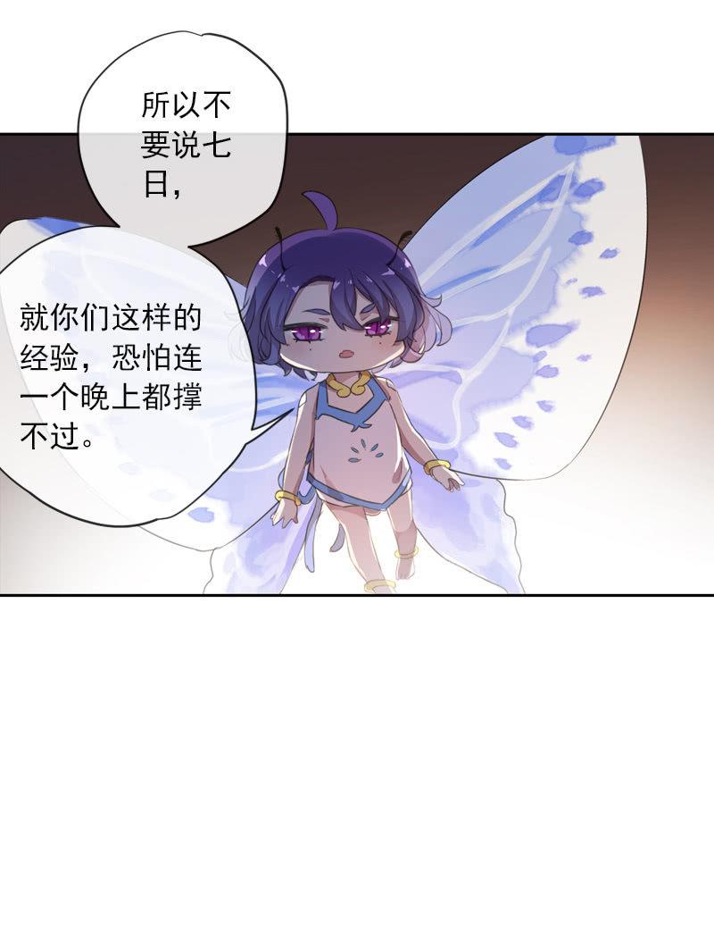 第 66 页