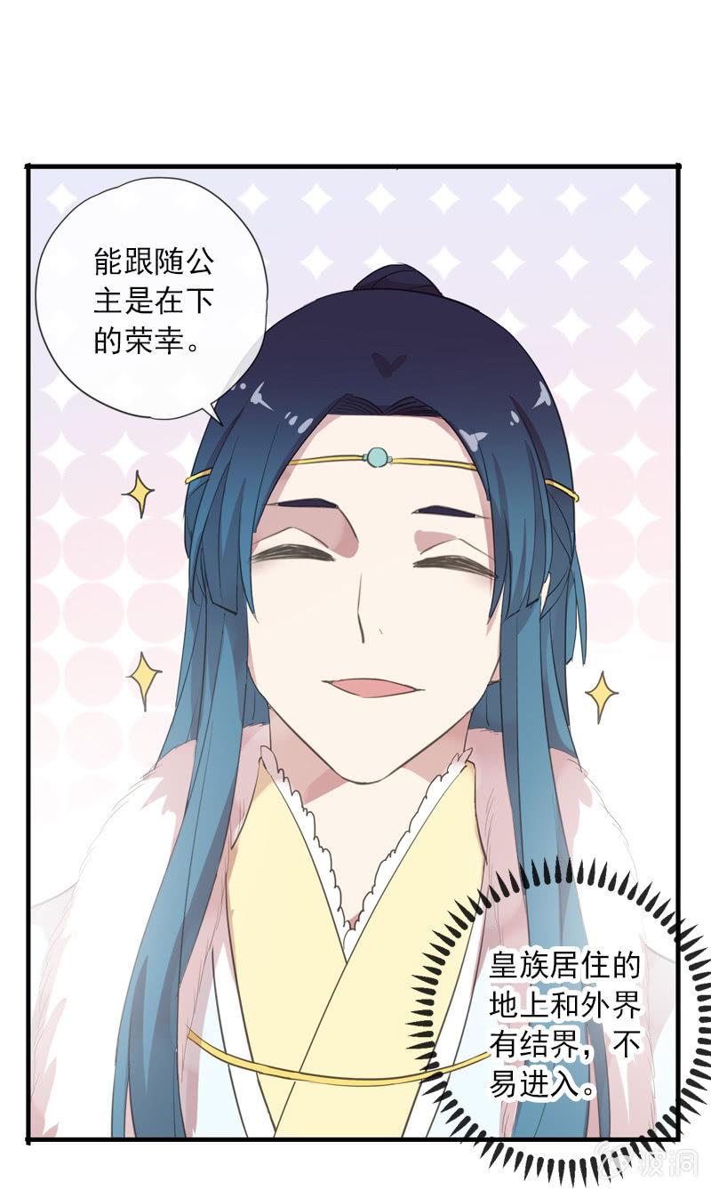 第 41 页