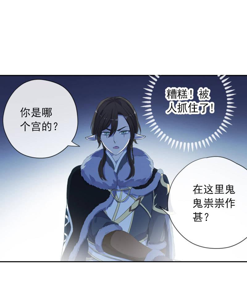 第 31 页