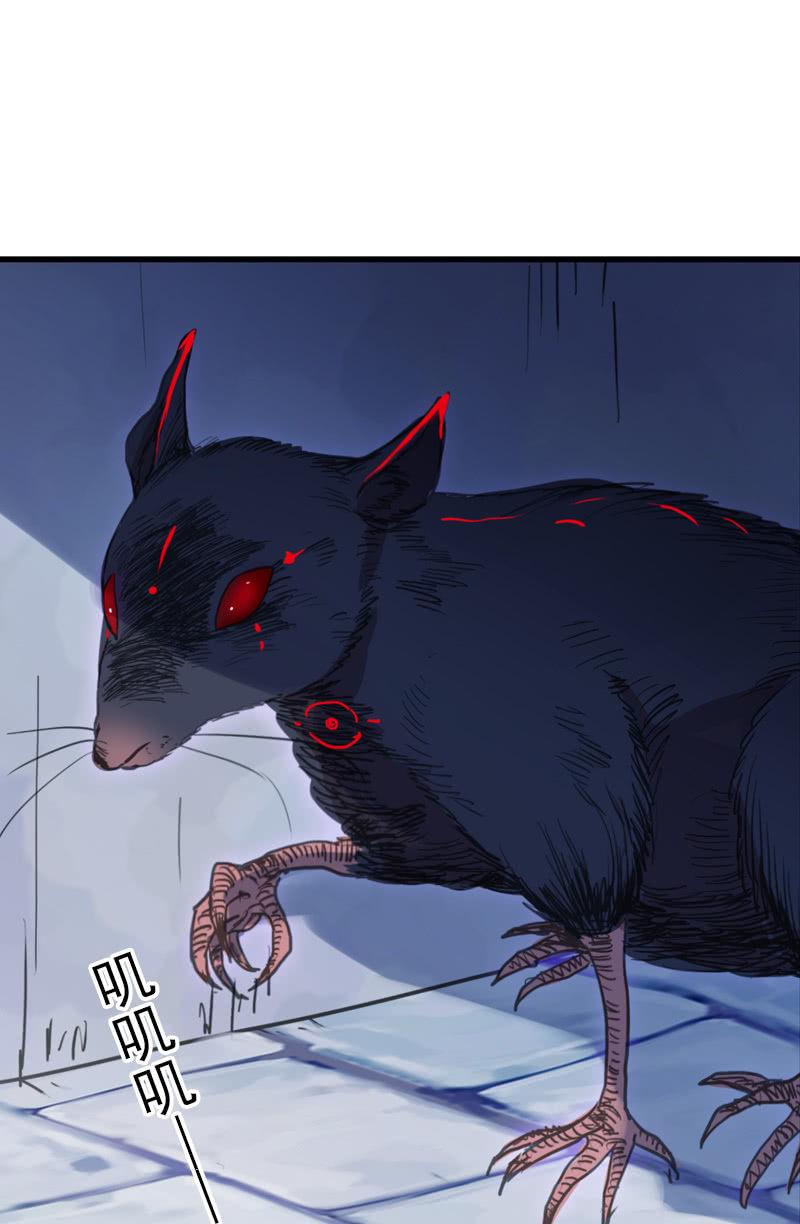 第 59 页