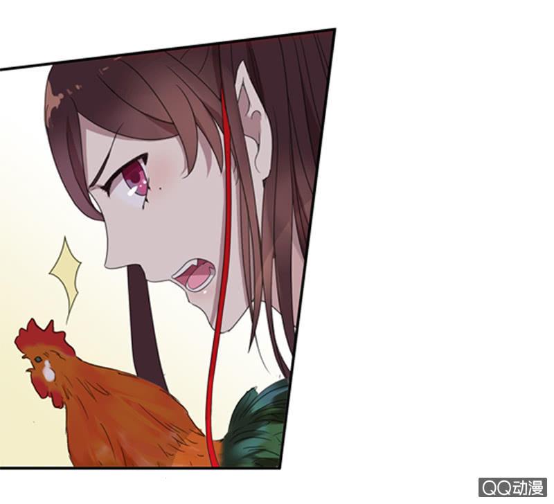 第 51 页