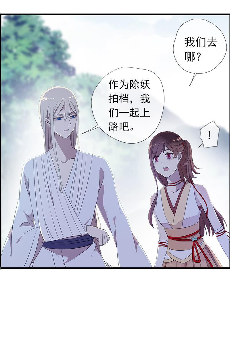 第 41 页