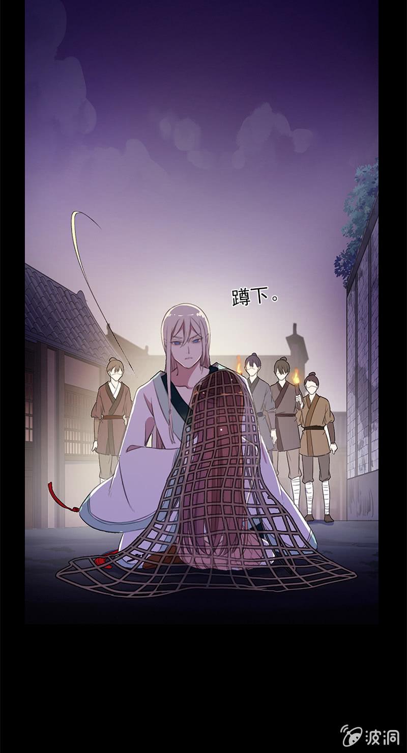 第 46 页