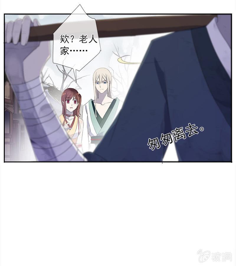第 46 页
