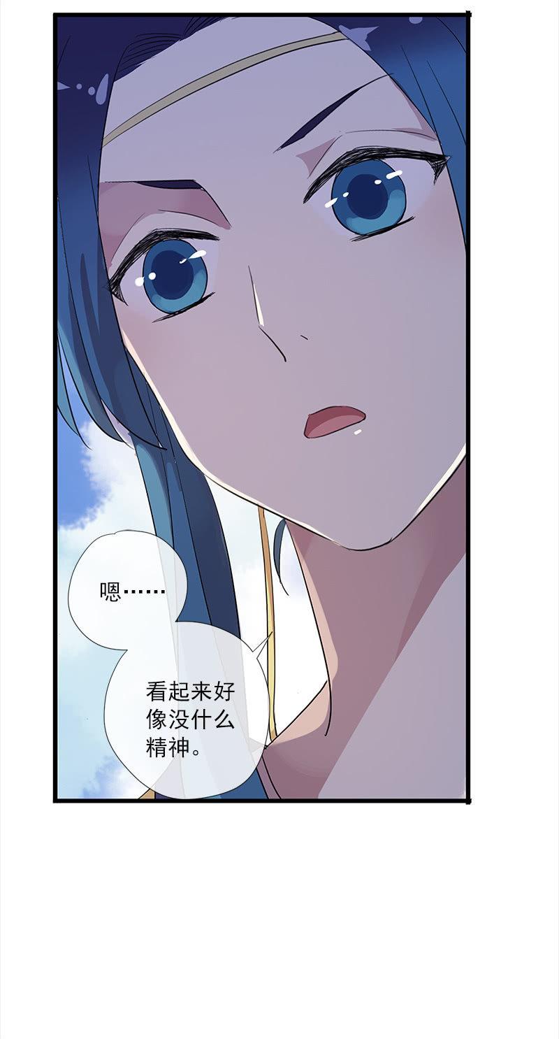 第 51 页