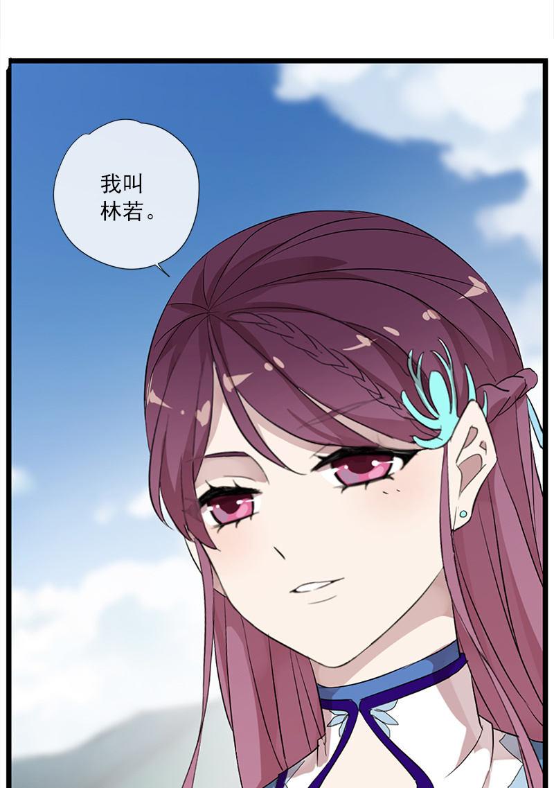 第 51 页