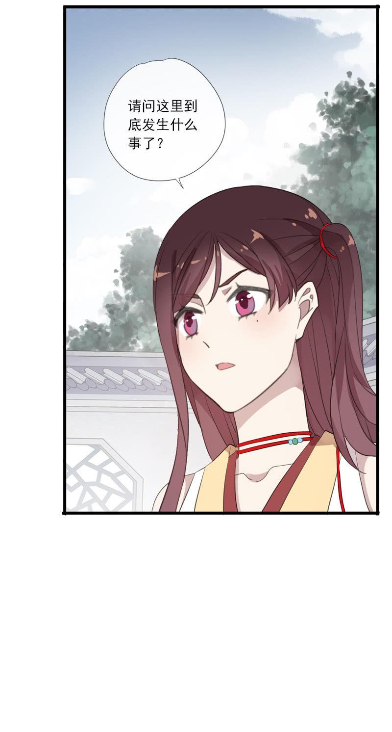 第 55 页