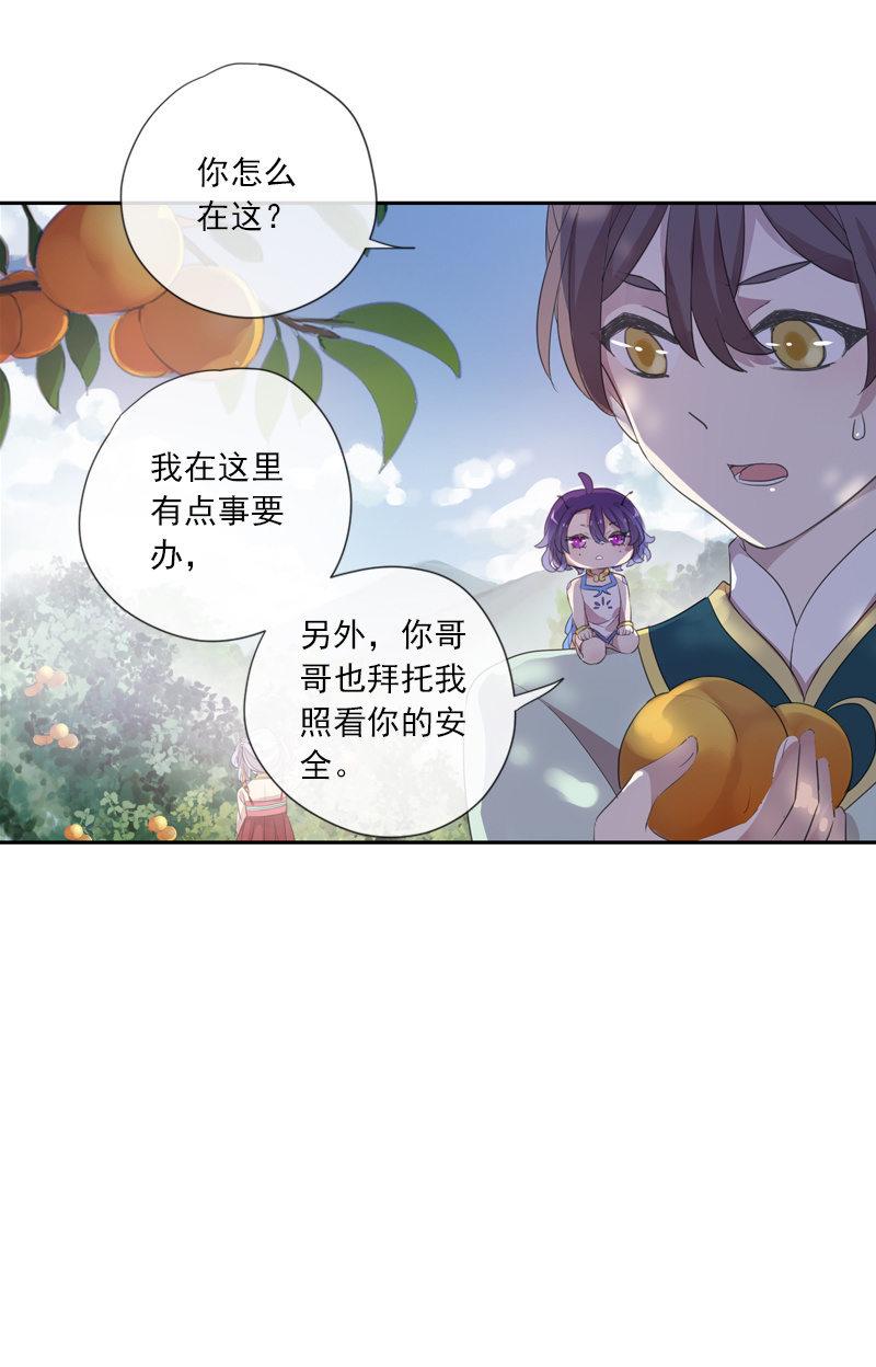 第 51 页