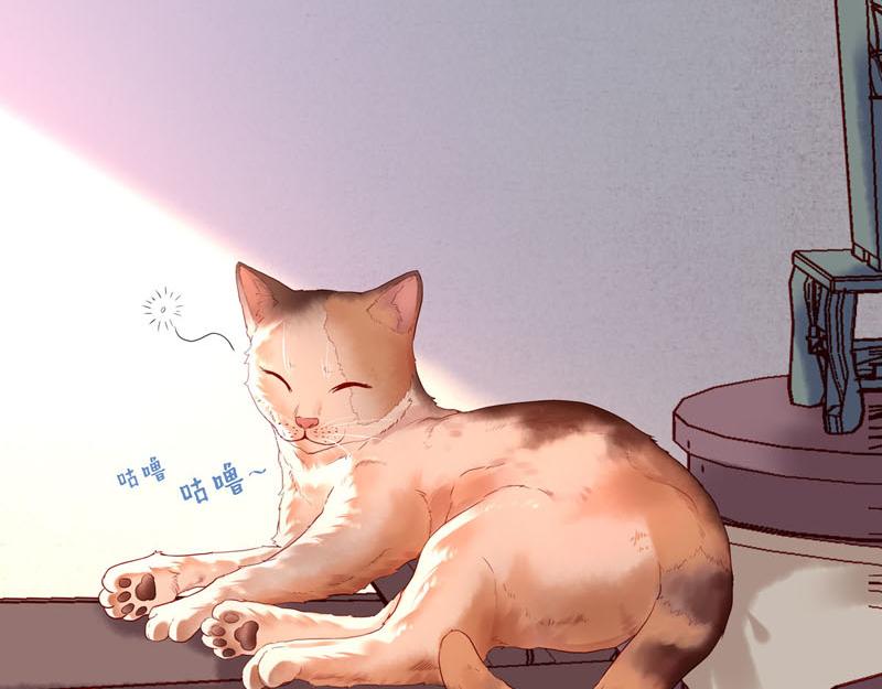 第 54 页