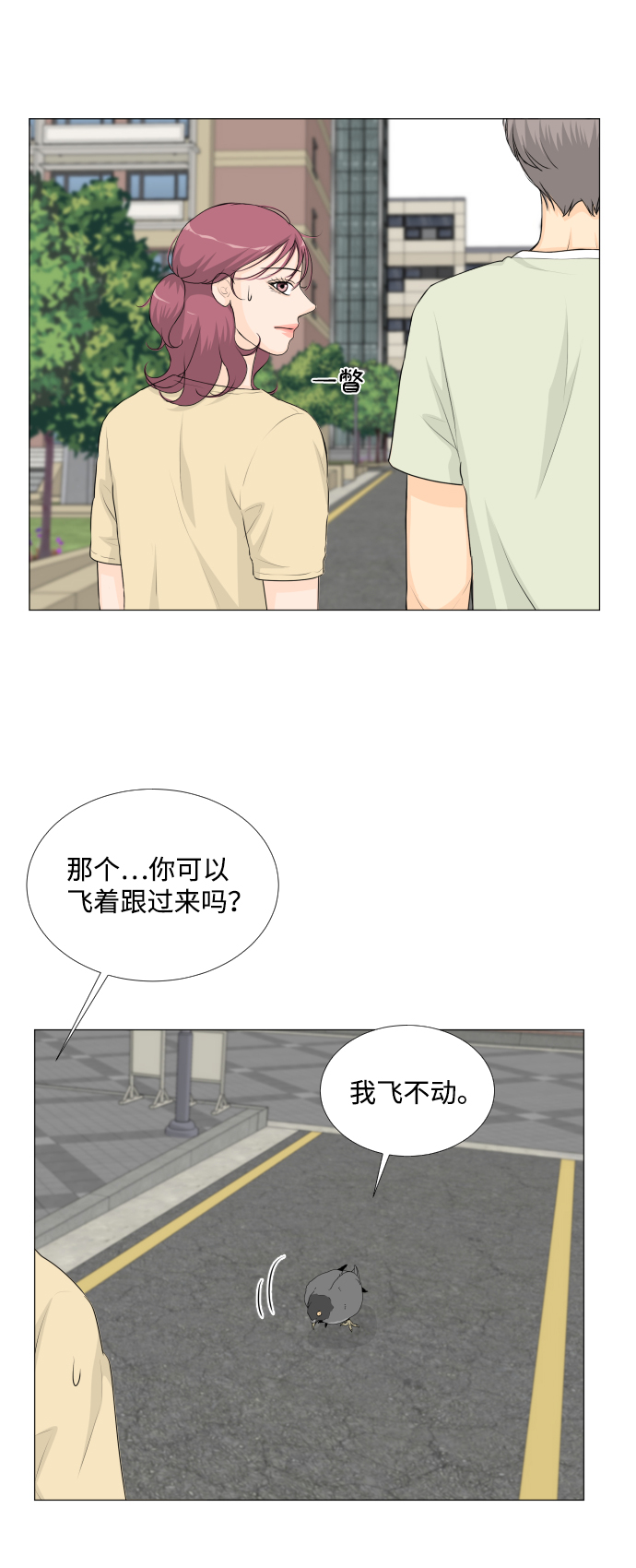 第 43 页