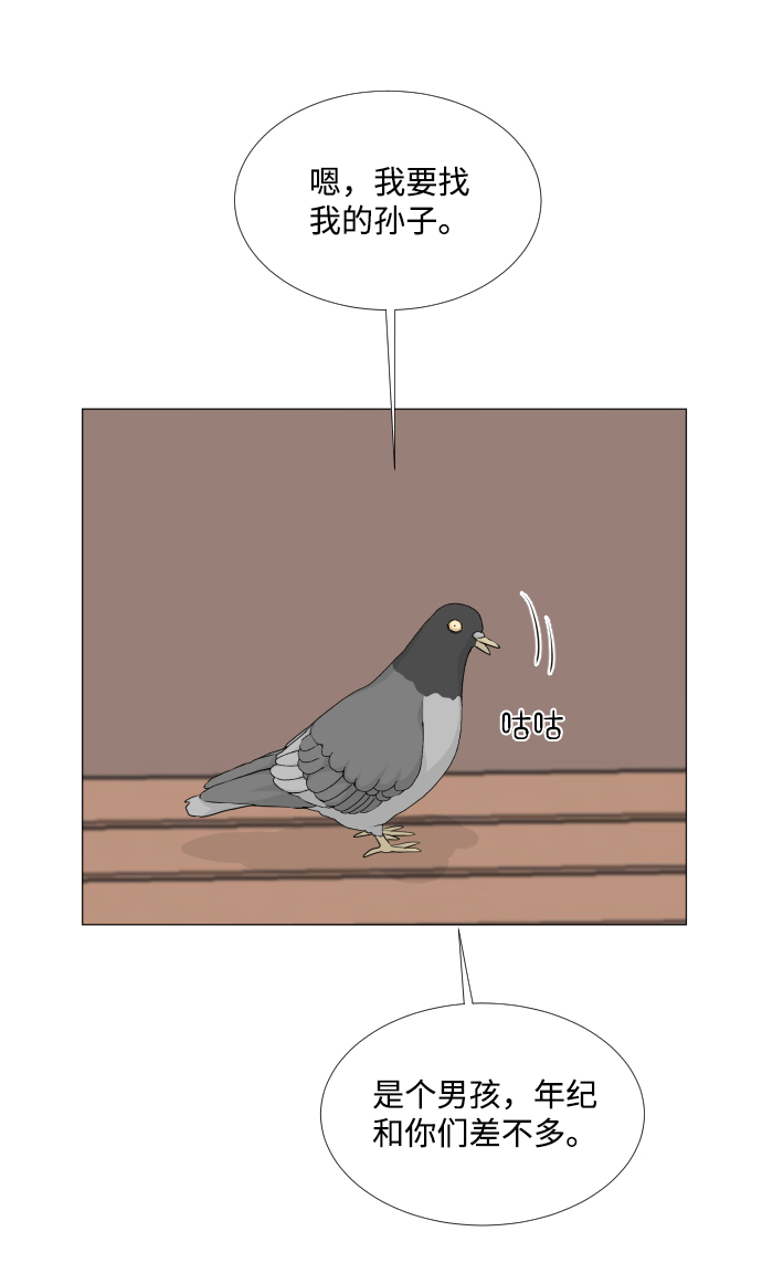 第 47 页