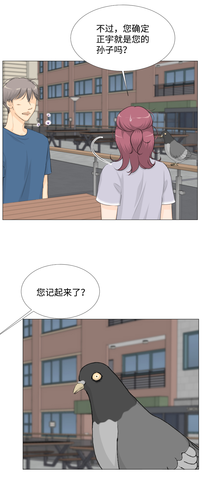 第 35 页