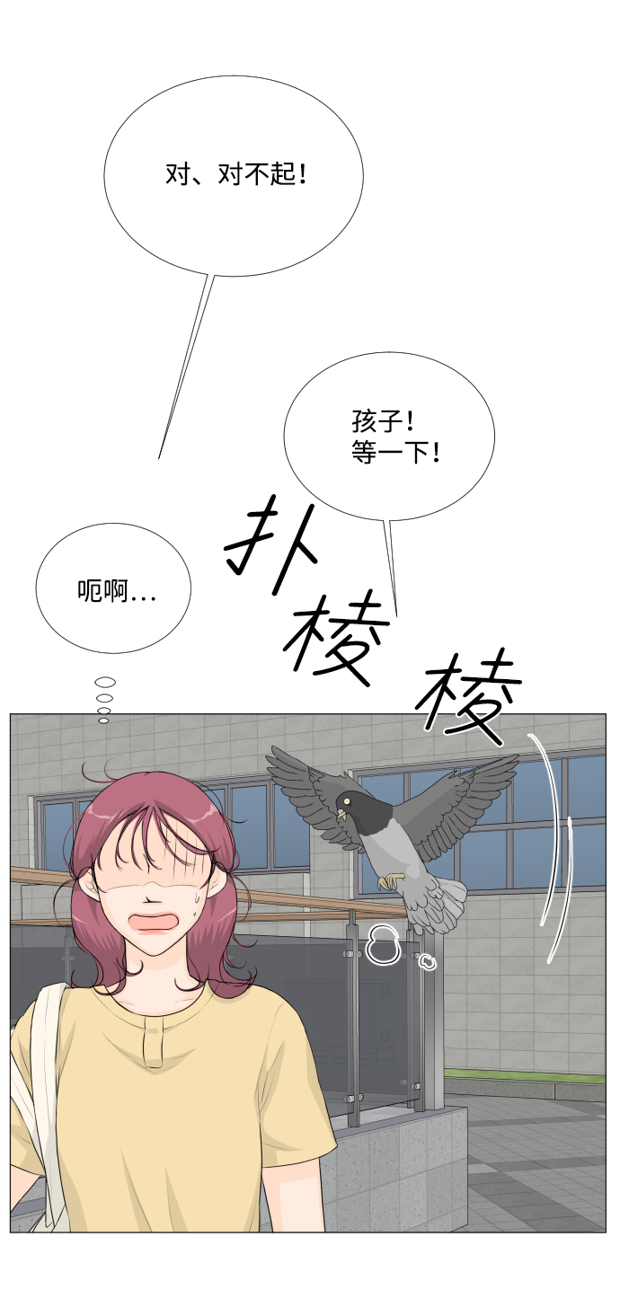 第 50 页