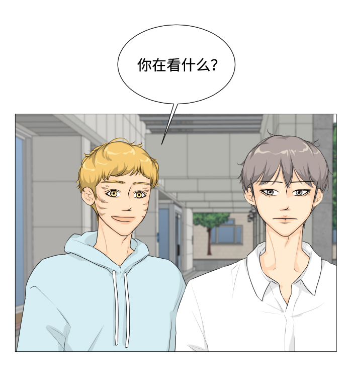 第 50 页