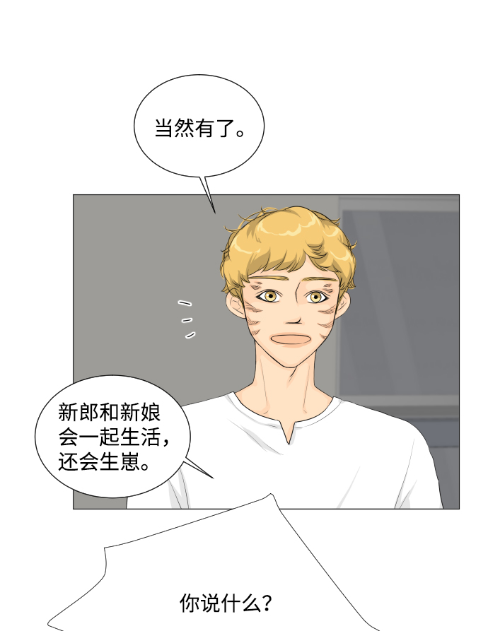 第 49 页