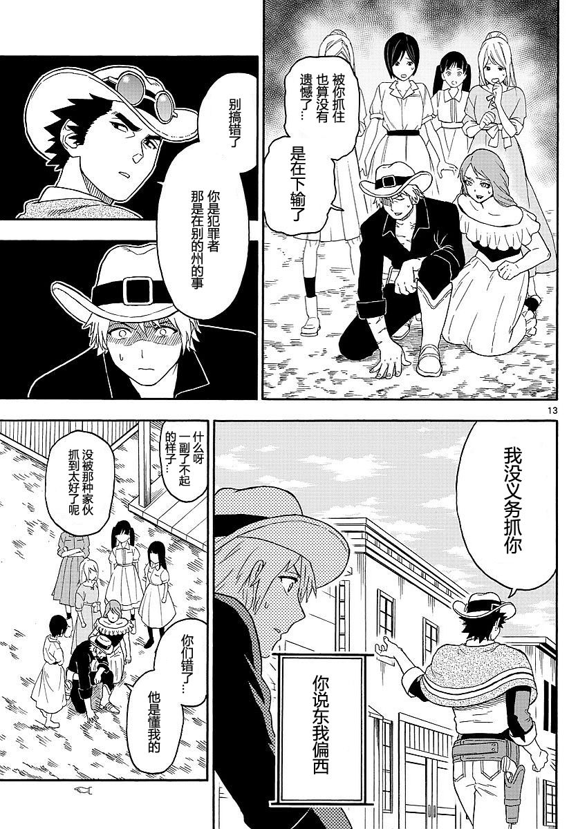 第 13 页