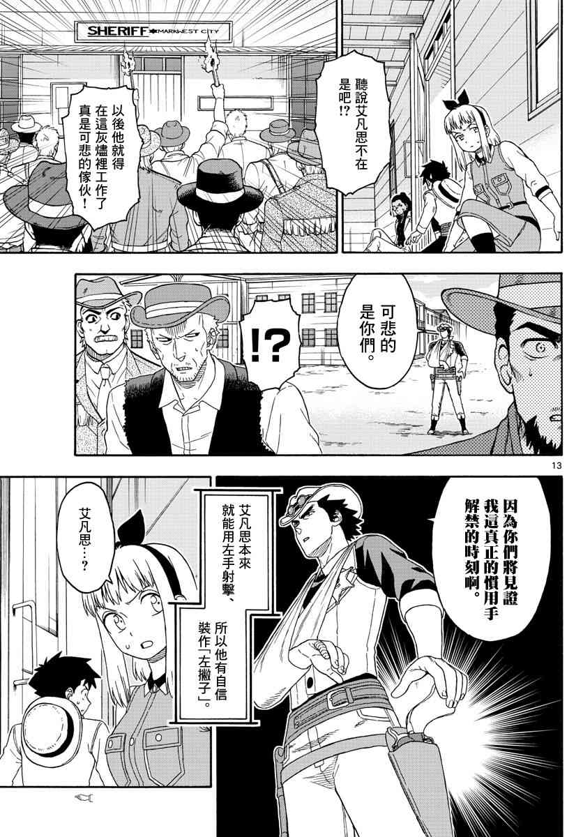 第 13 页