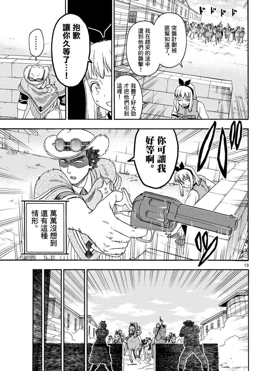 第 13 页