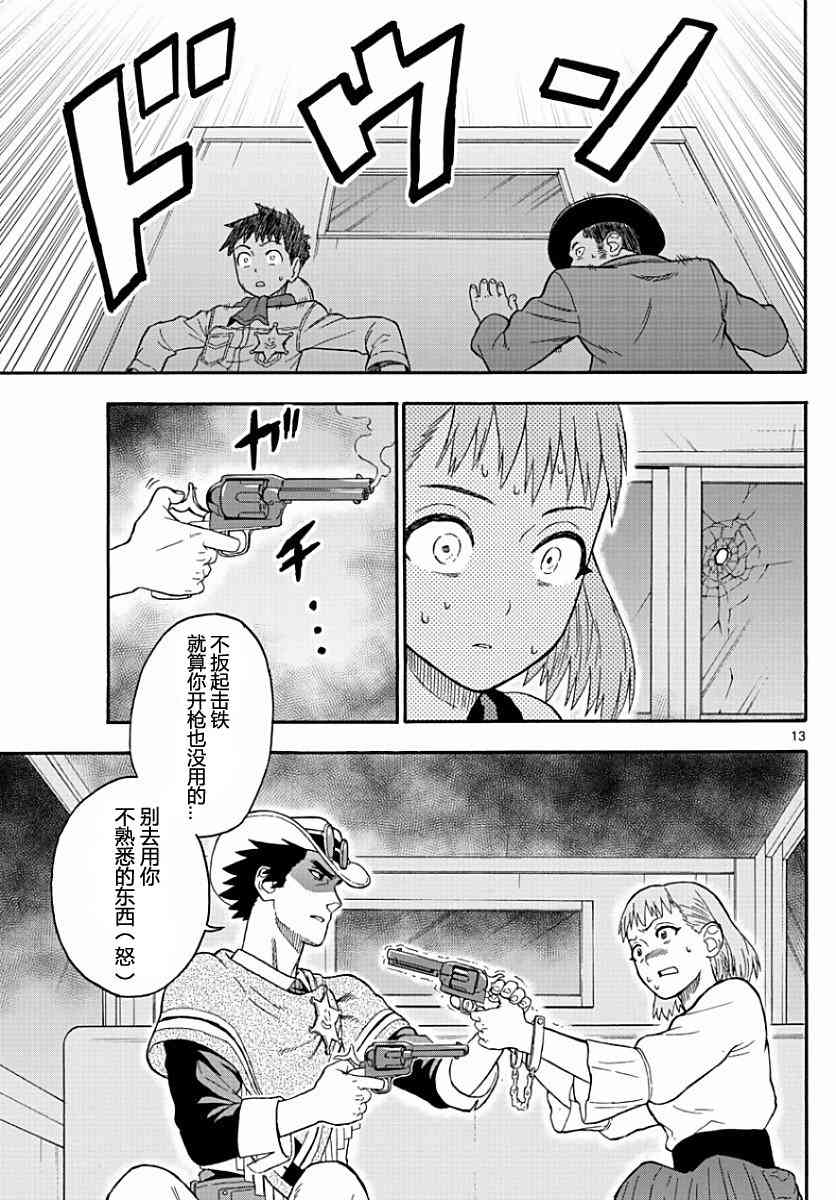 第 13 页