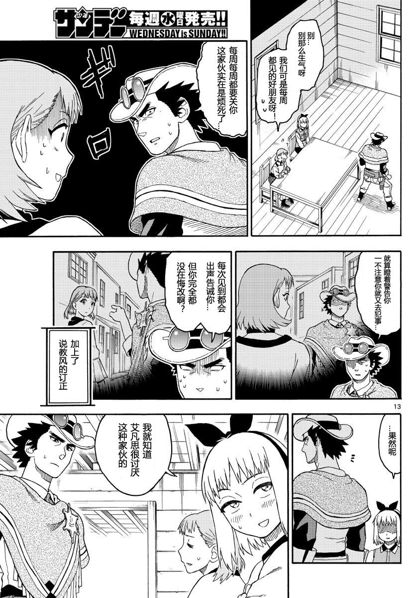 第 13 页