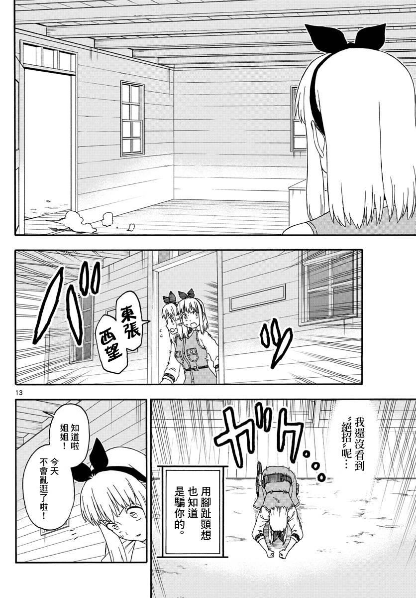 第 13 页