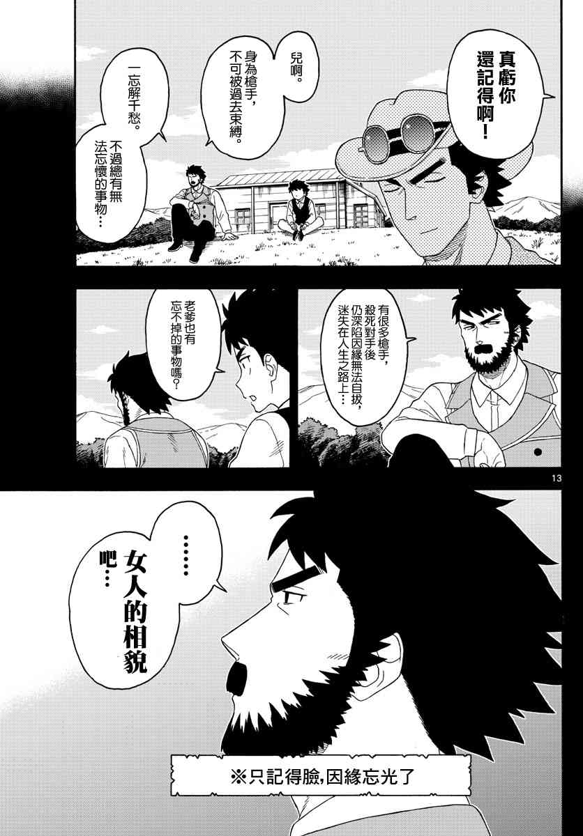第 13 页