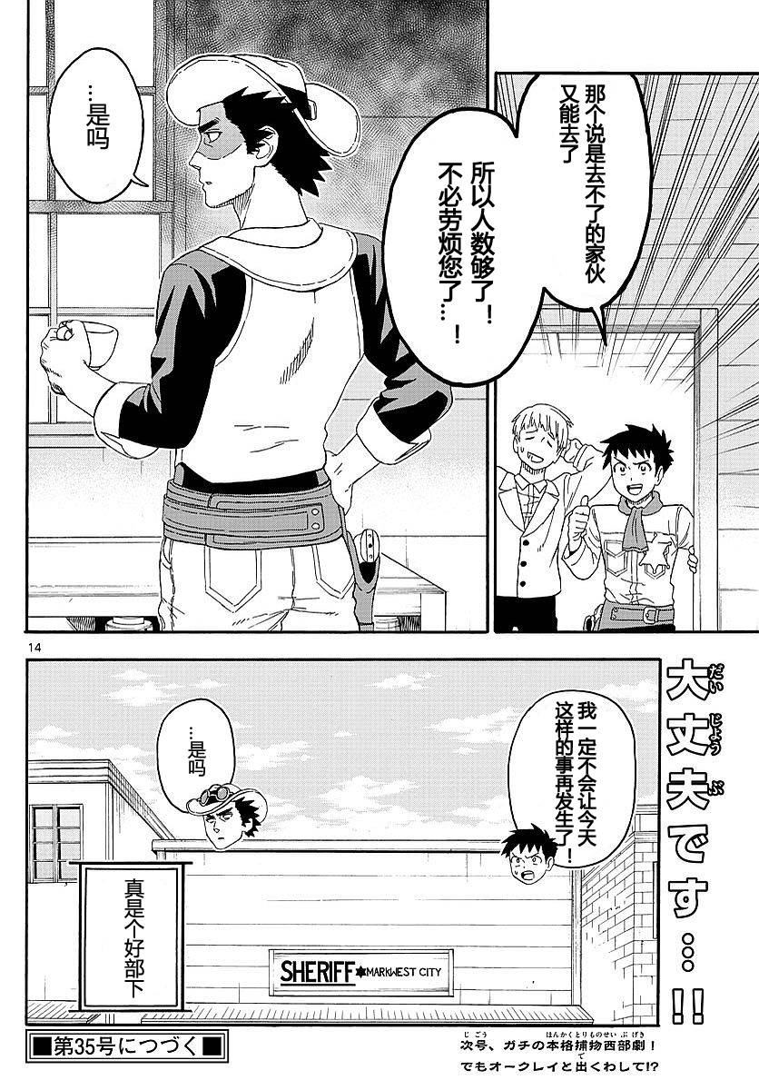 第 14 页