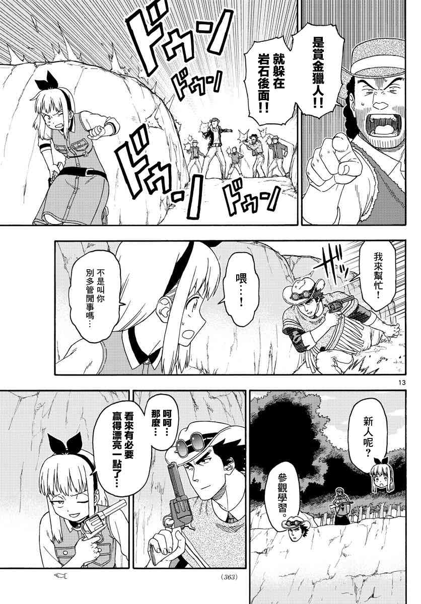第 13 页