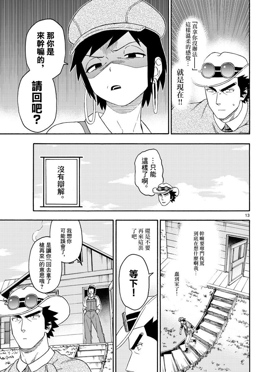 第 13 页