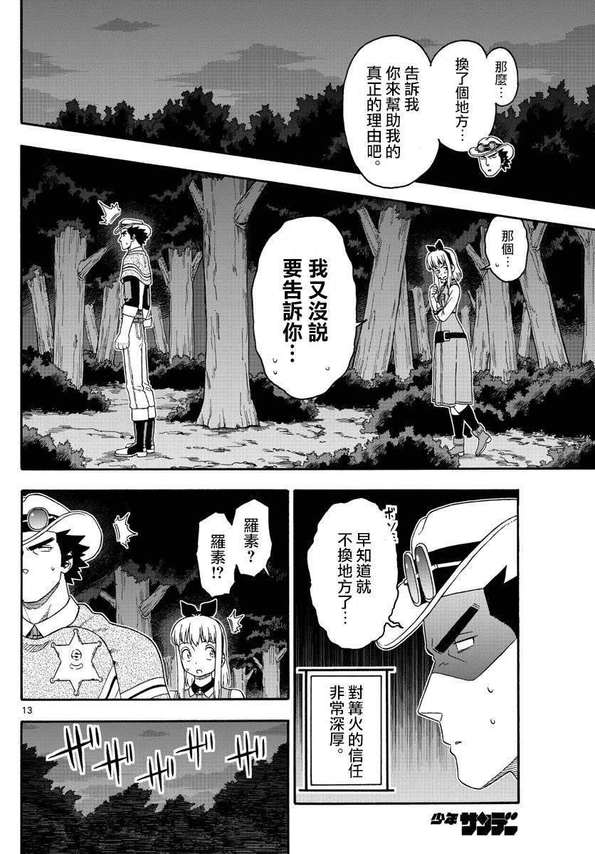 第 13 页