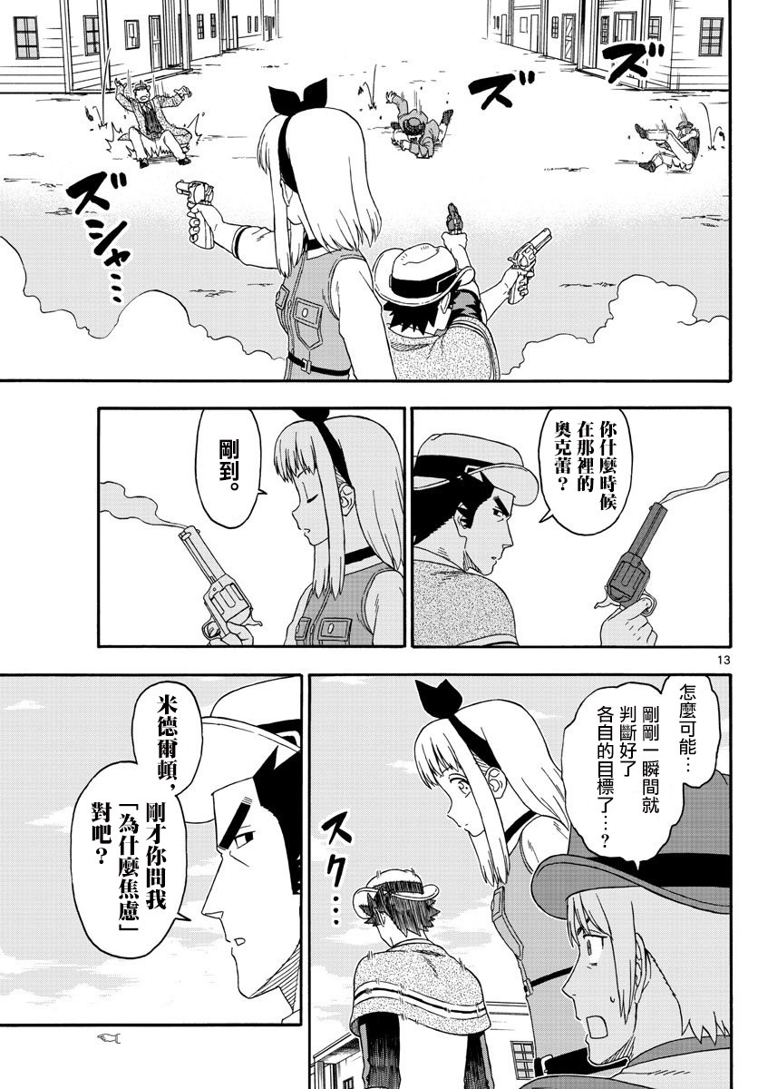 第 13 页