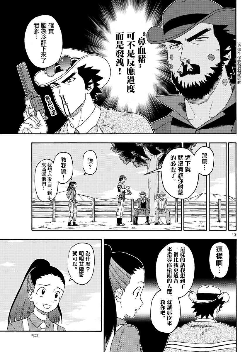 第 13 页