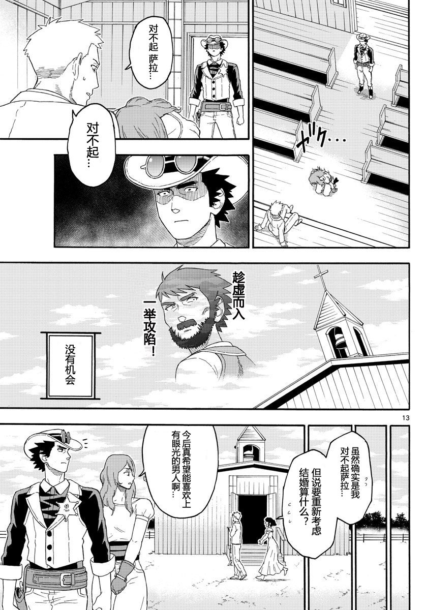 第 13 页