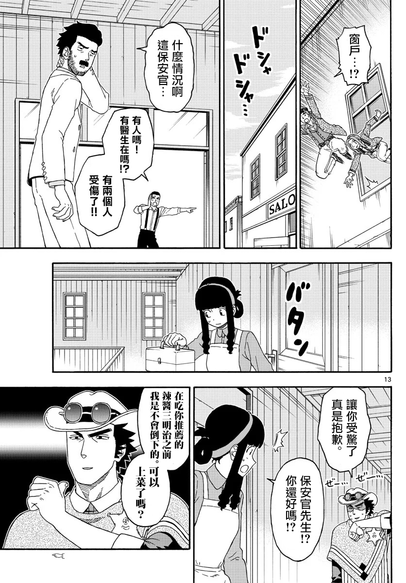 第 13 页